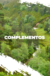 complementos trail running